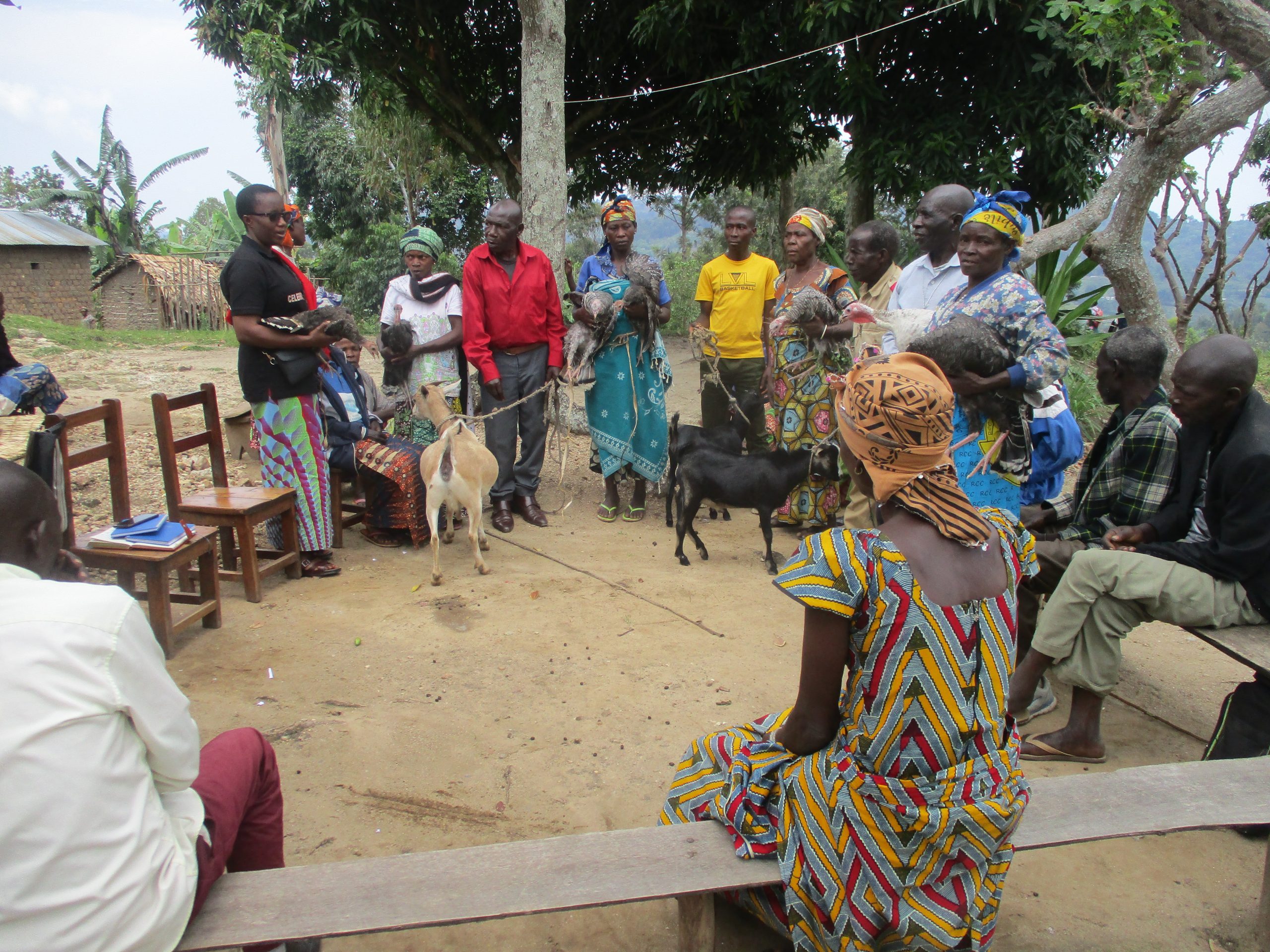 Rotation-des-geniteurs-dans-le-groupe-MUNGU-AHANA-a-IDJWI